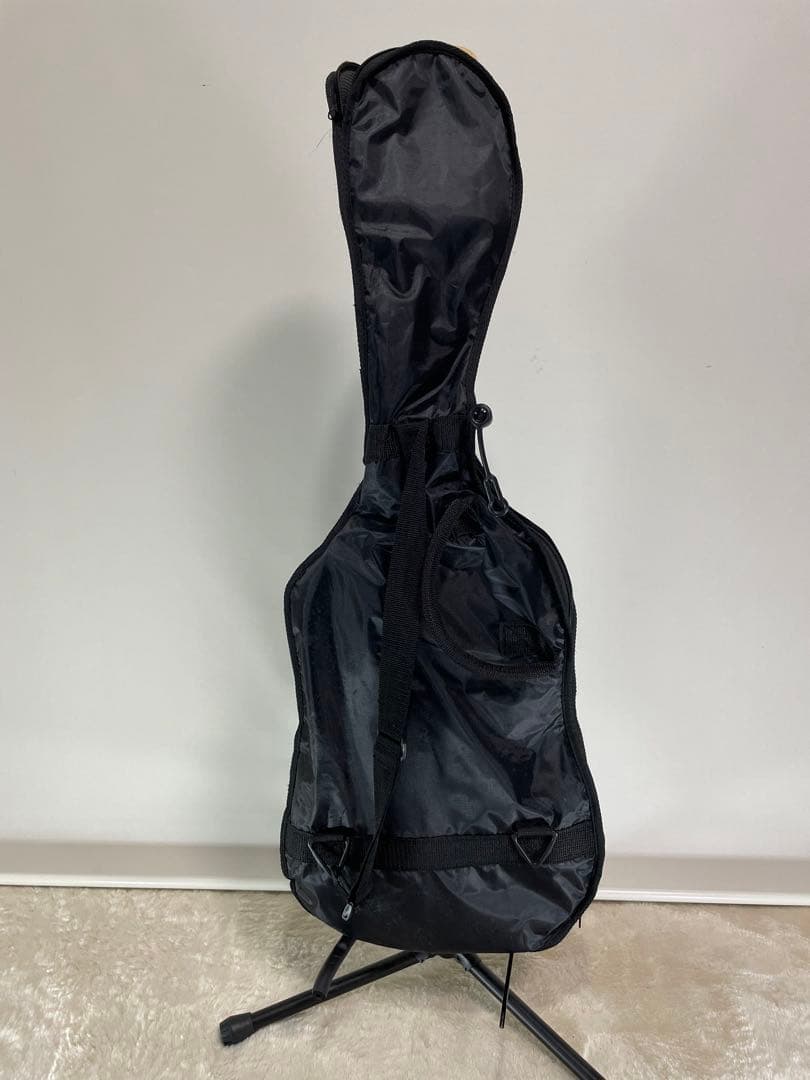 Pnotogeuic  ST-180 BLS エレキギター