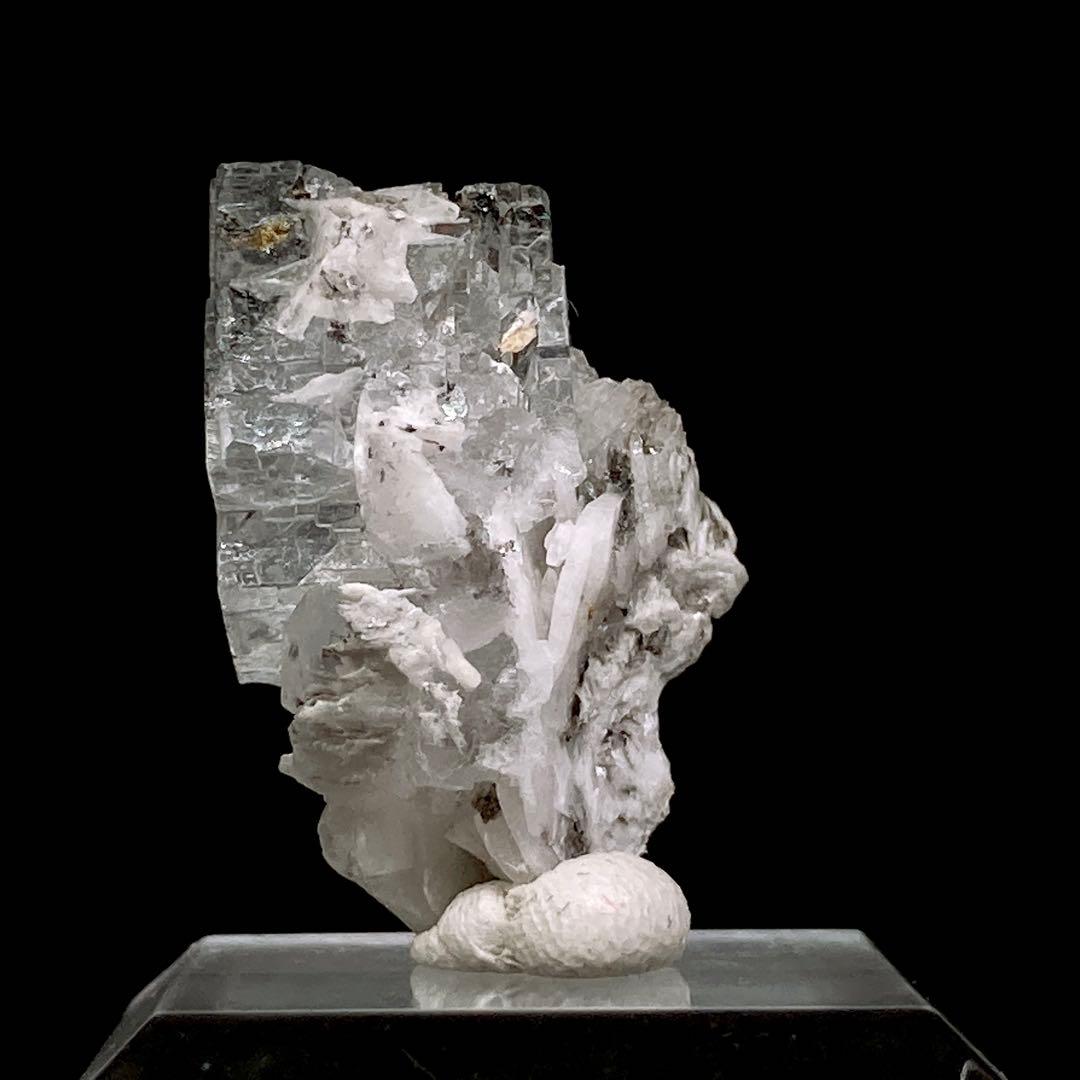 c*z様 『エミリオ鉱山』　フローライト　蛍石　原石　鉱物標本　天然石　303