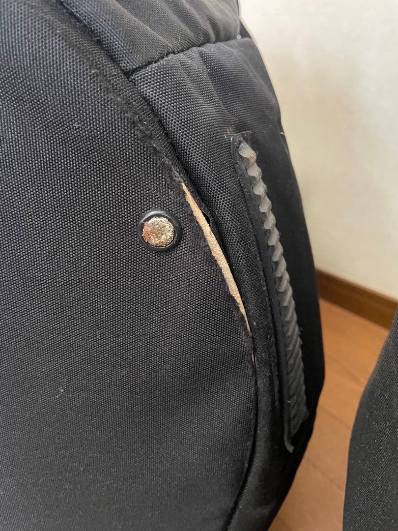 【送料無料】LP PALLADIUM ツゥンバ 1本 ソフトケース付