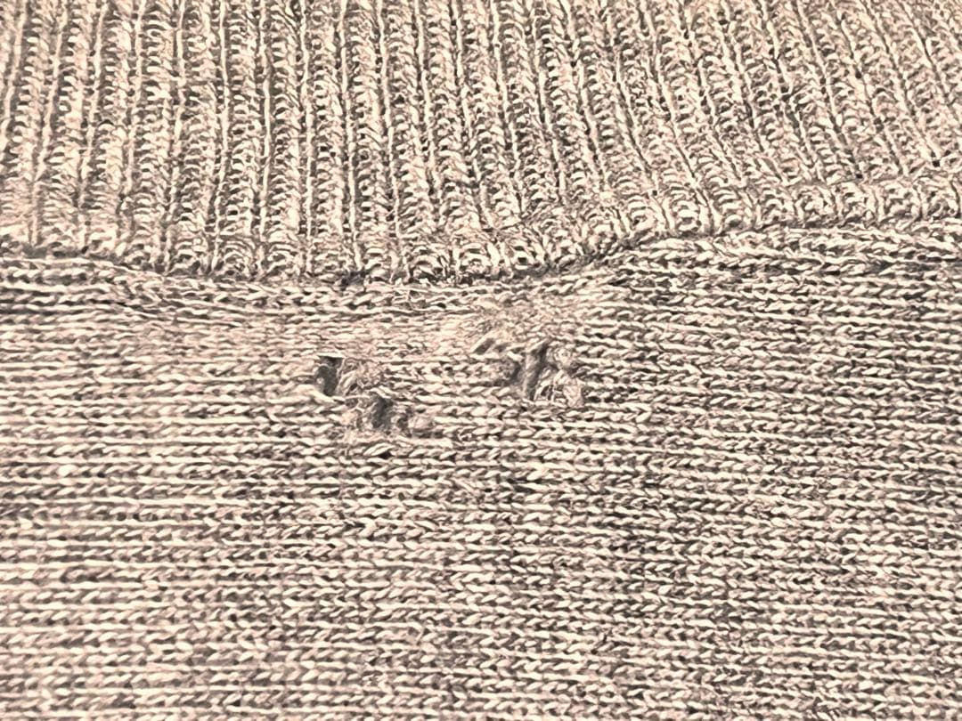 チャンピオン Champion 90sリバースウィーブ