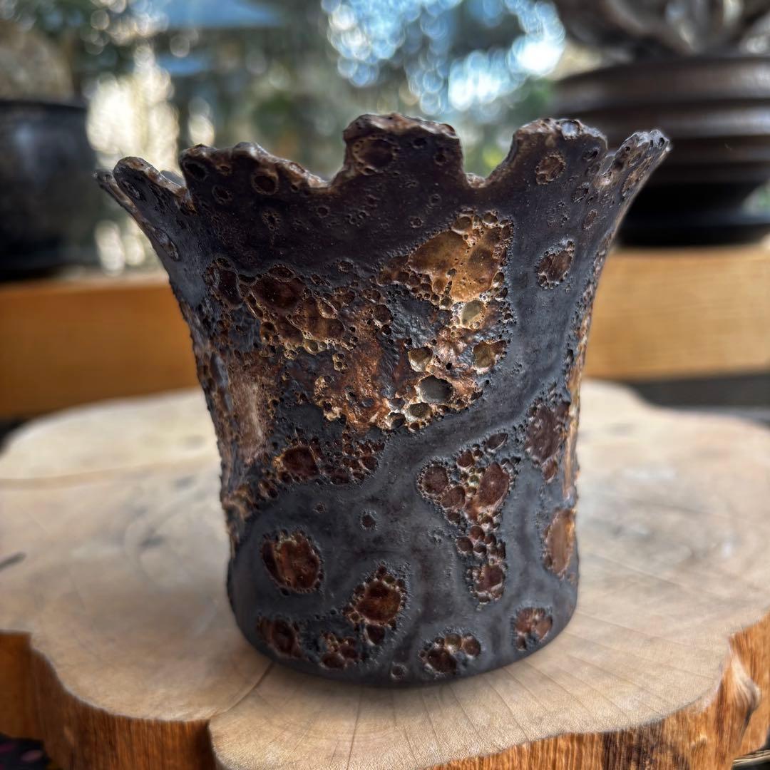 美品 中川智治 作家鉢 植木鉢 発泡 アガベ グラキリス パキプス 塊根