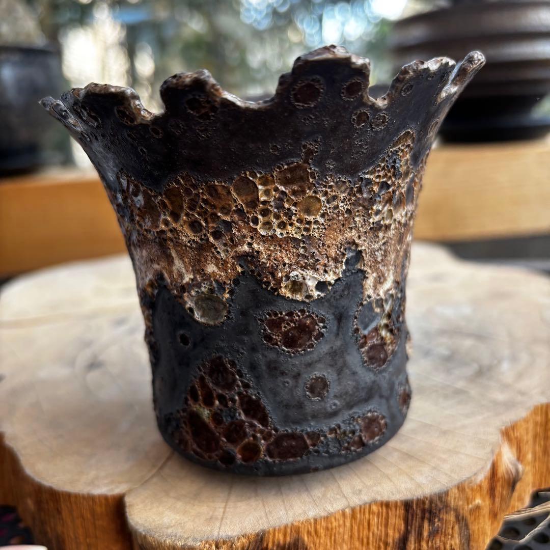 美品 中川智治 作家鉢 植木鉢 発泡 アガベ グラキリス パキプス 塊根