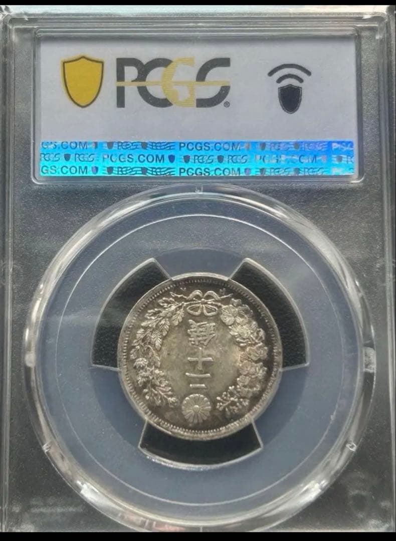 高鑑定　完全未使用　1873年 20銭 はね明　竜図面　鏡面状　トーン