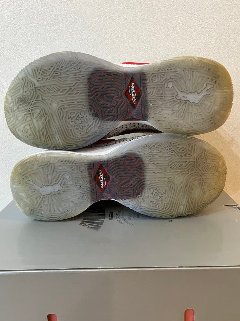 M*G様 NIKE LEBRON XX ナイキレブロン20 EP