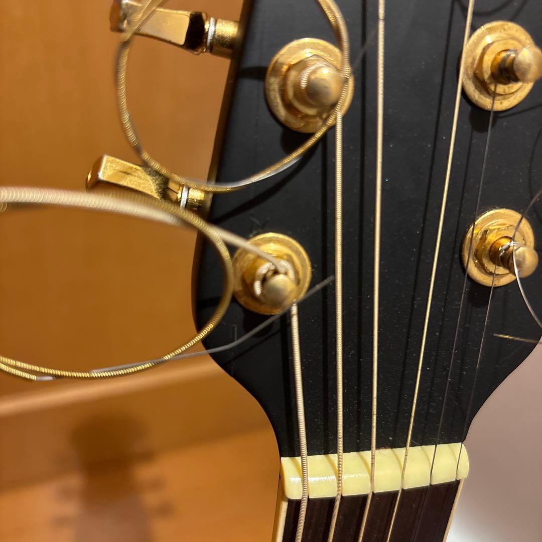 Ovation celebrity CP257 ケース付