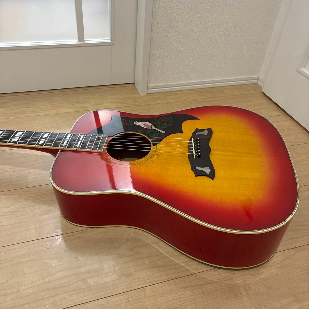 激レア美品Morris WD-35 DOVE コピー日本製　　ジャパンビンテージ