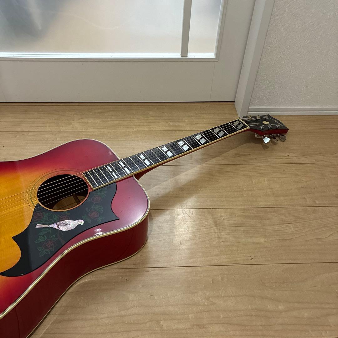 激レア美品Morris WD-35 DOVE コピー日本製　　ジャパンビンテージ