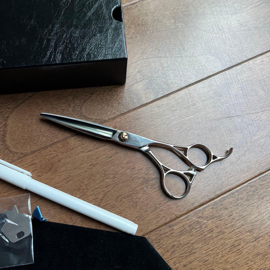 コルタシザーズ&ニッサンTVコラボ