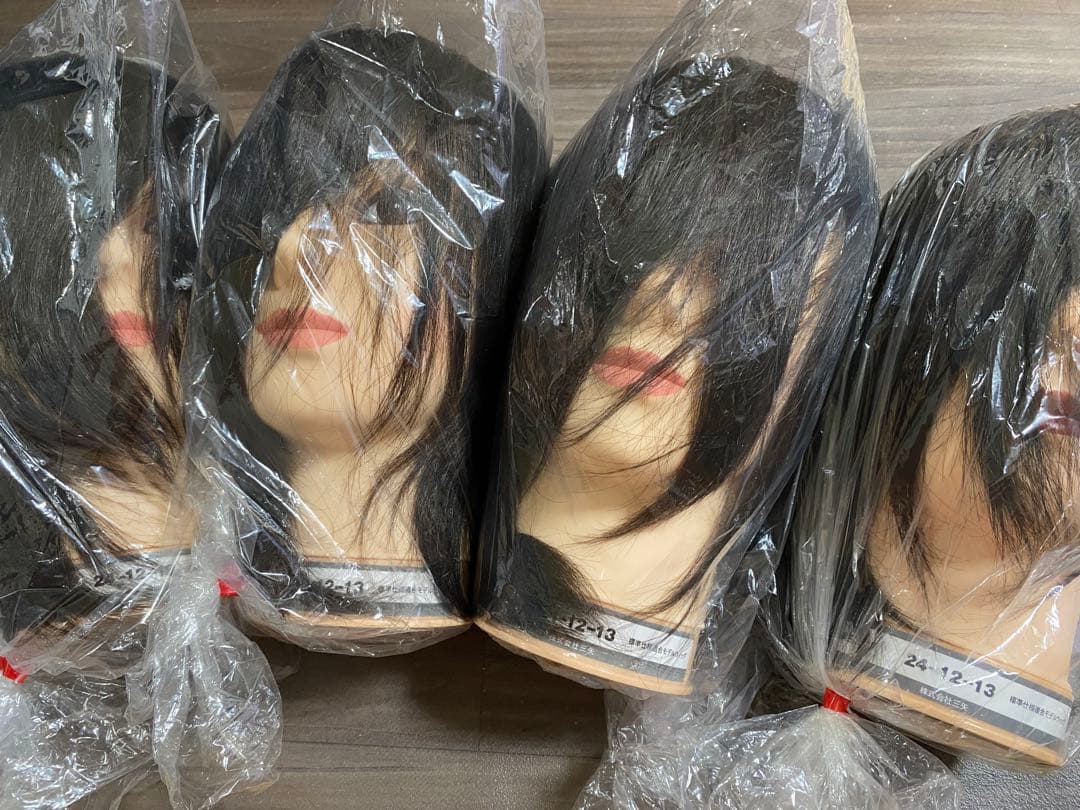 【新品未開封】美容師国家試験用 カットウィッグ 24-12-13 4点セット