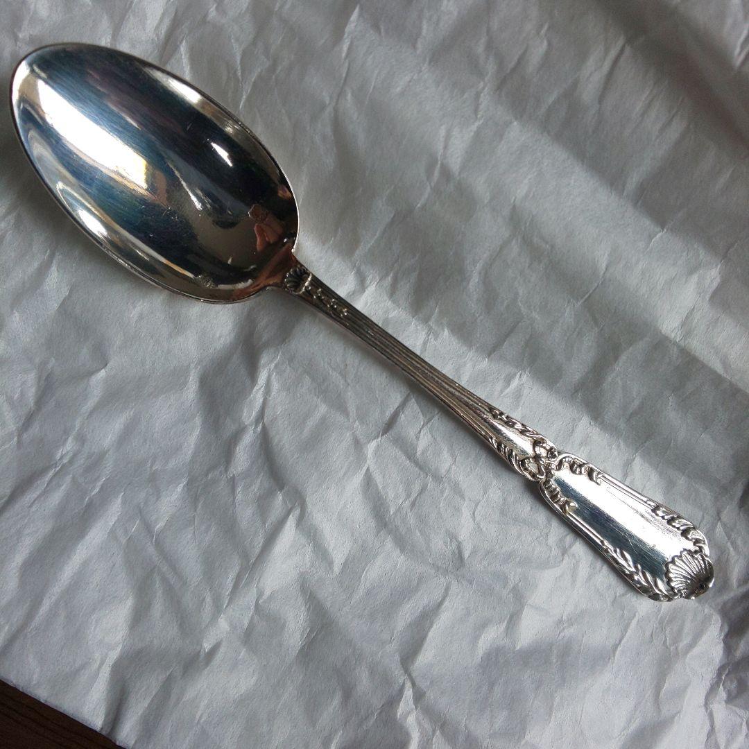 ピュイフォルカ スプーン