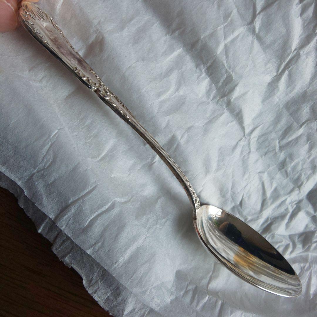 ピュイフォルカ スプーン