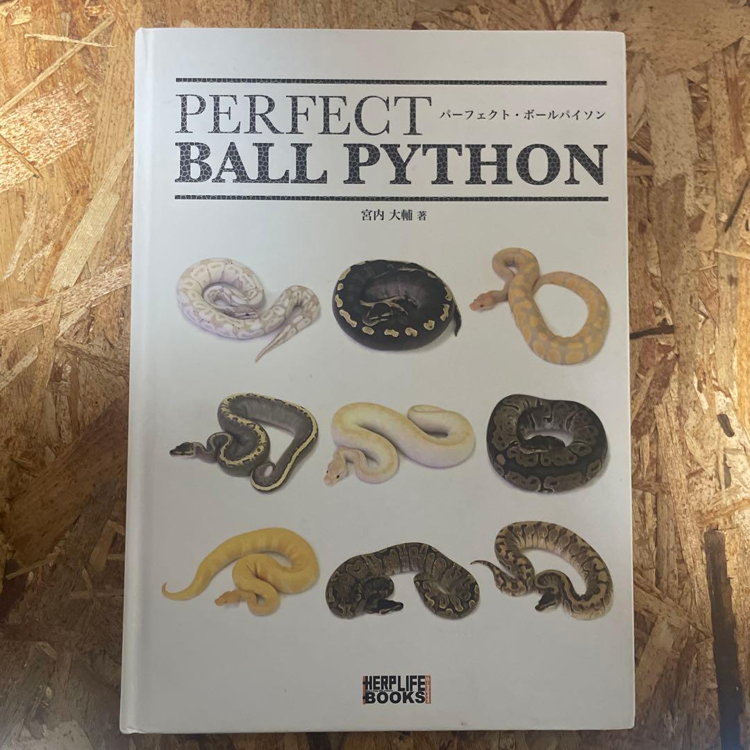 パーフェクトボールパイソン【毒ヘビ全書とのセット売りも可】
