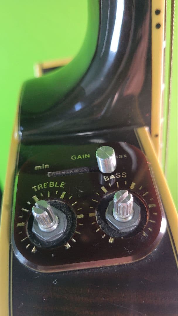 Washburn MONTEREY ARTIST-Aエレアコギター現状品