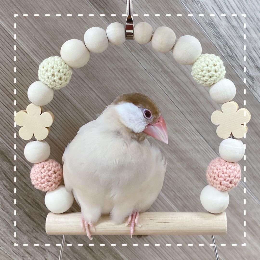 【丸】ことりのおおきなあそびば