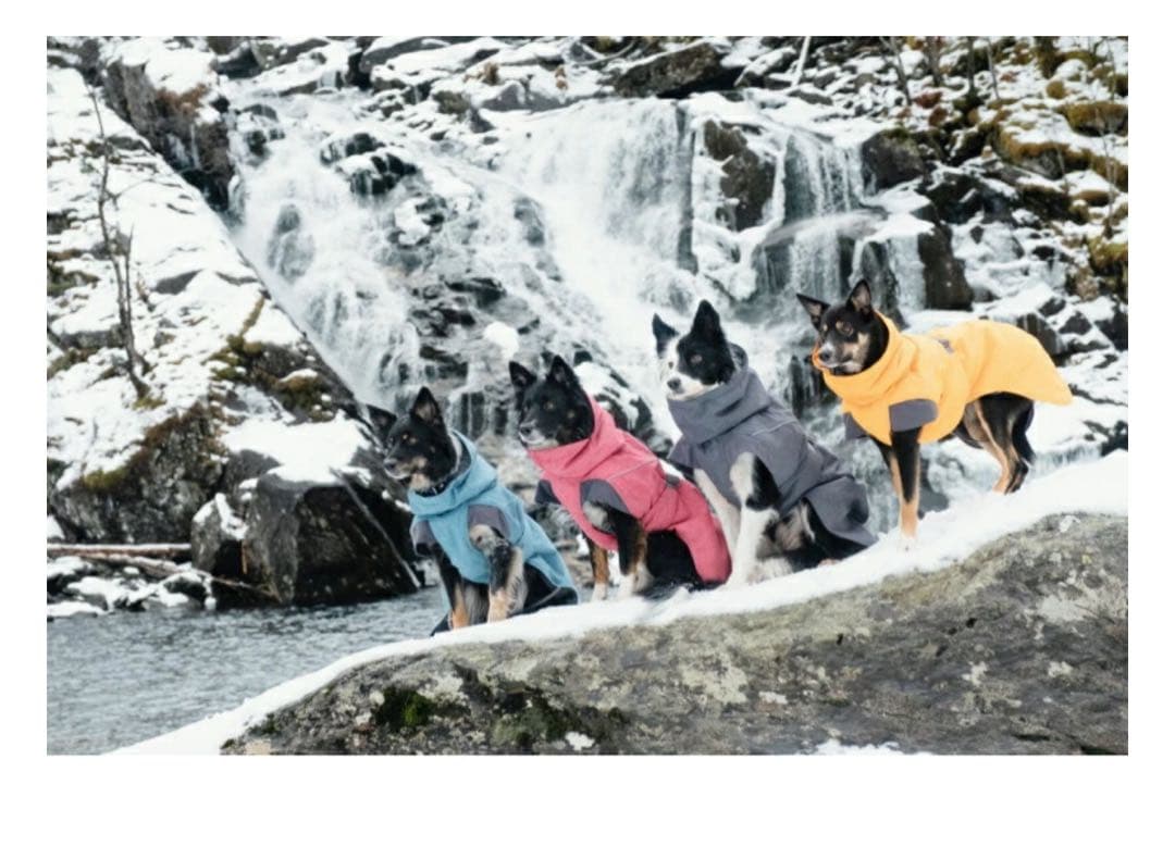 Hurtta フルッタ　犬用ジャケット エクスペディション　35 cm