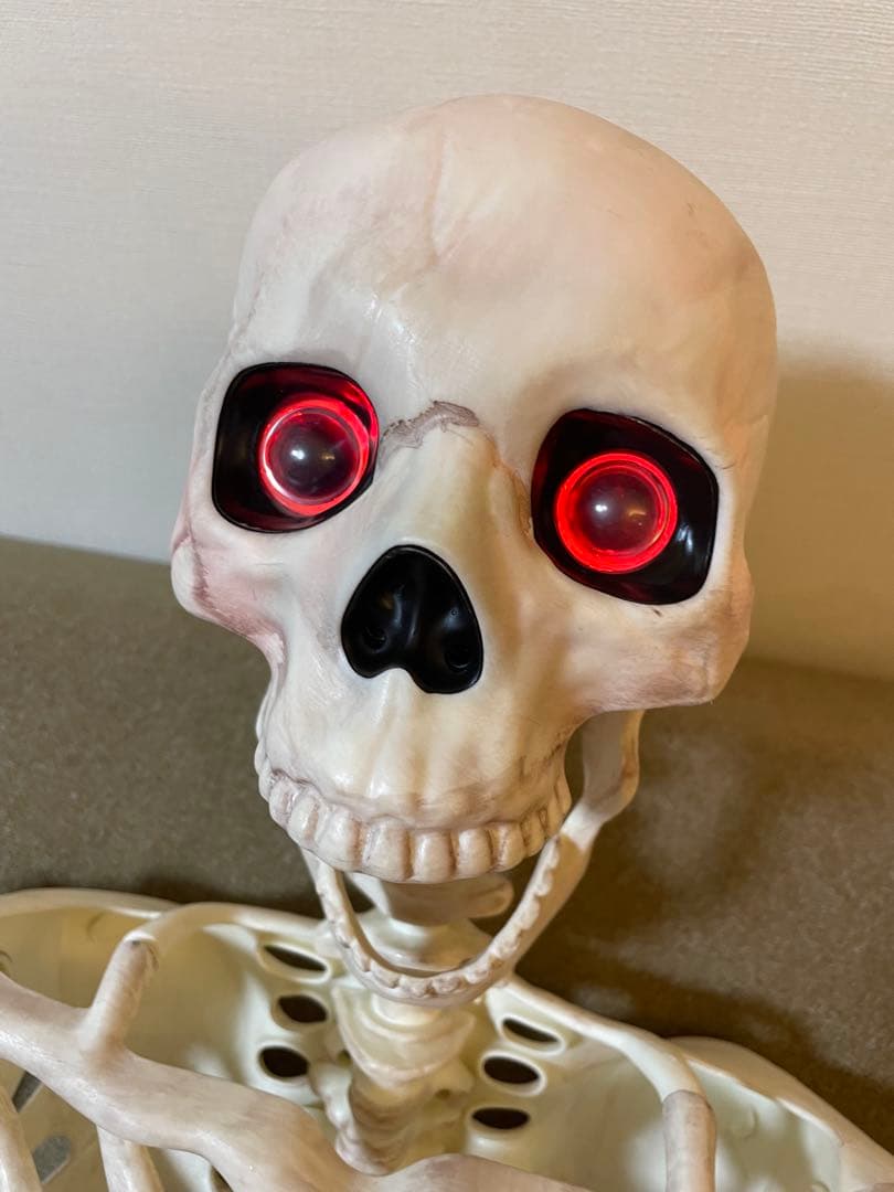 【デカすぎ！】ガイコツ　ハロウィン　人体模型　骨　ハロウィン　150cm