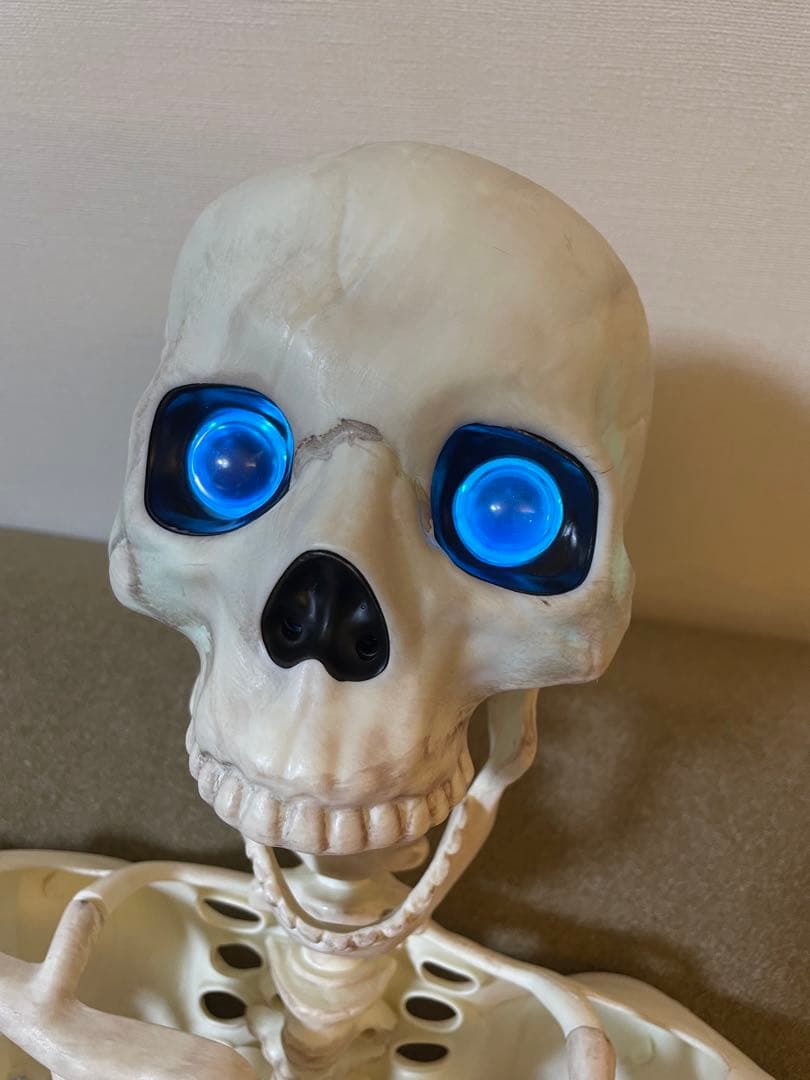 【デカすぎ！】ガイコツ　ハロウィン　人体模型　骨　ハロウィン　150cm