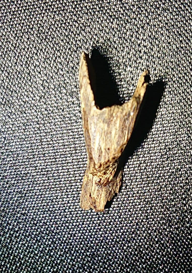 ベトナムフエ産 伽羅 水沈