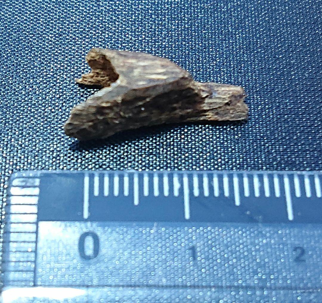 ベトナムフエ産 伽羅 水沈