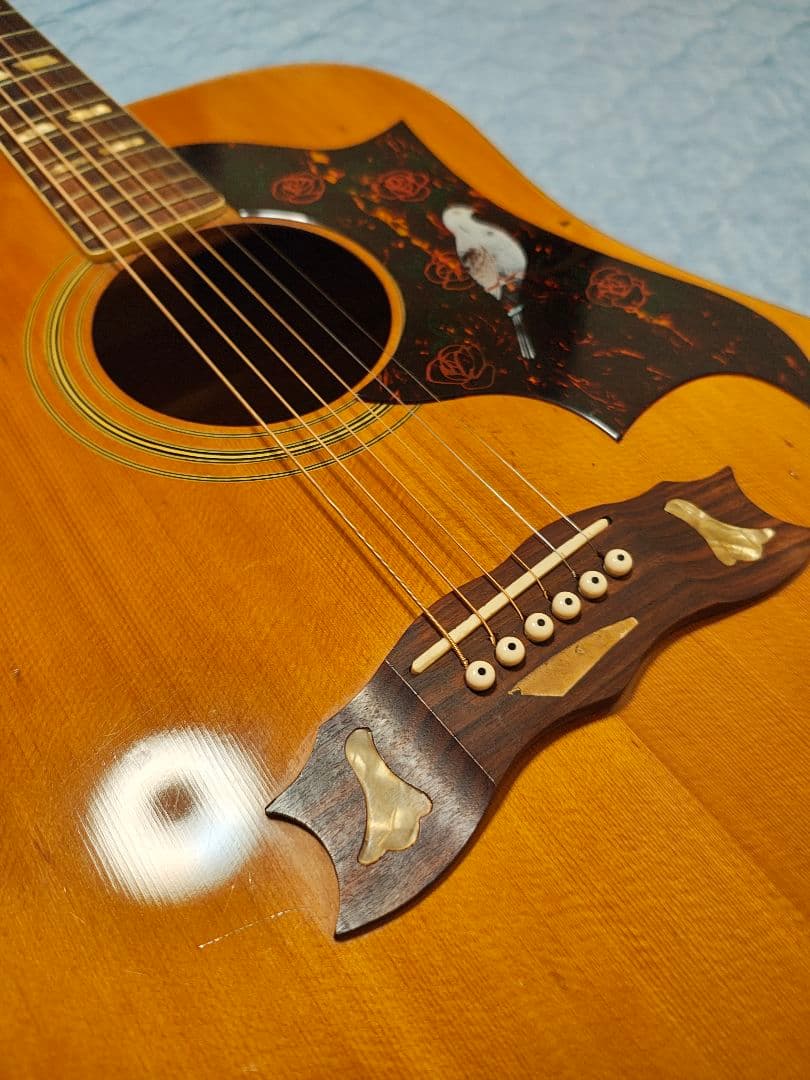 AriaハミングバードWD-33/ハードケース