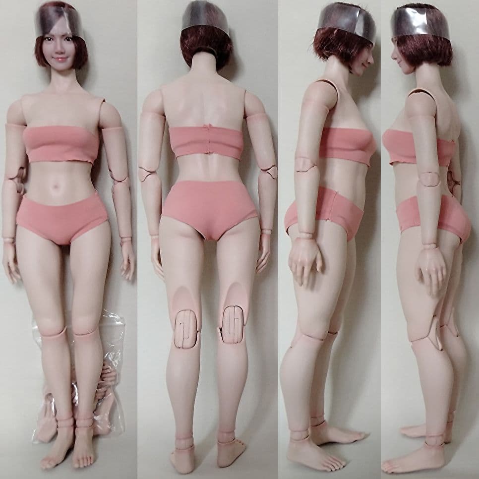 1/6【SDH016D】SUPER DUCK WorldBox TBLeague