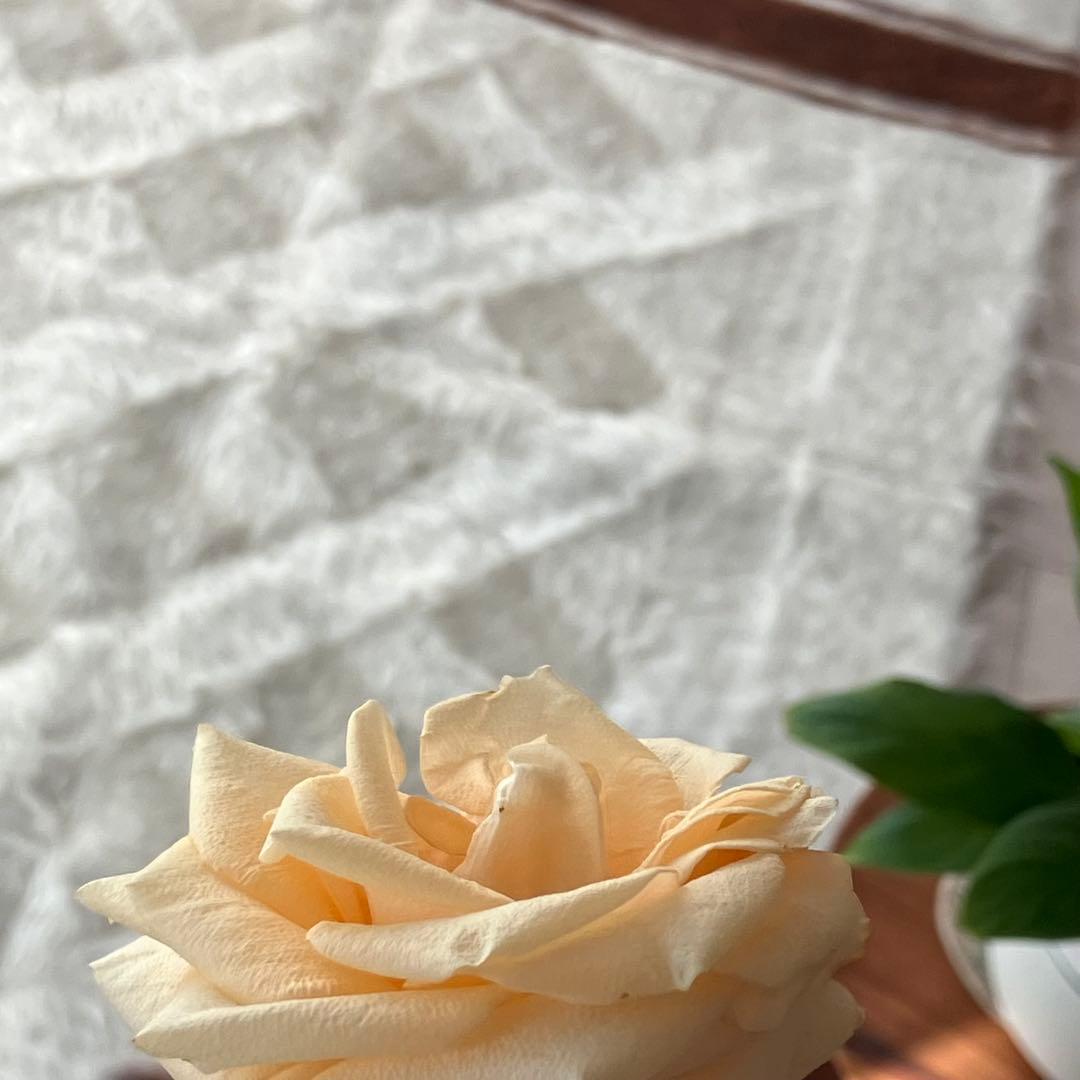 新品wool100％　オフホワイトチョコ　バッターニエ　トルコヴィンテージラグ