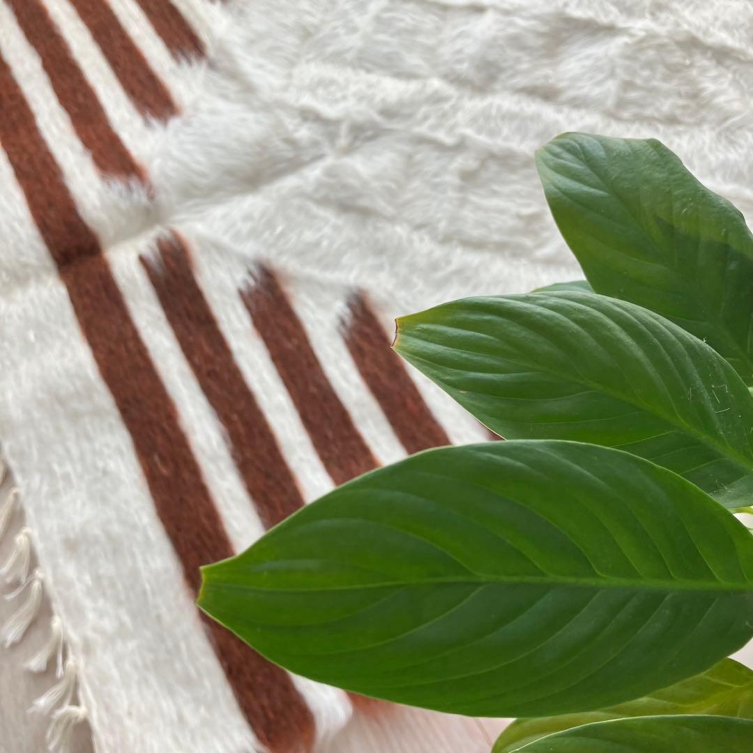 新品wool100％　オフホワイトチョコ　バッターニエ　トルコヴィンテージラグ