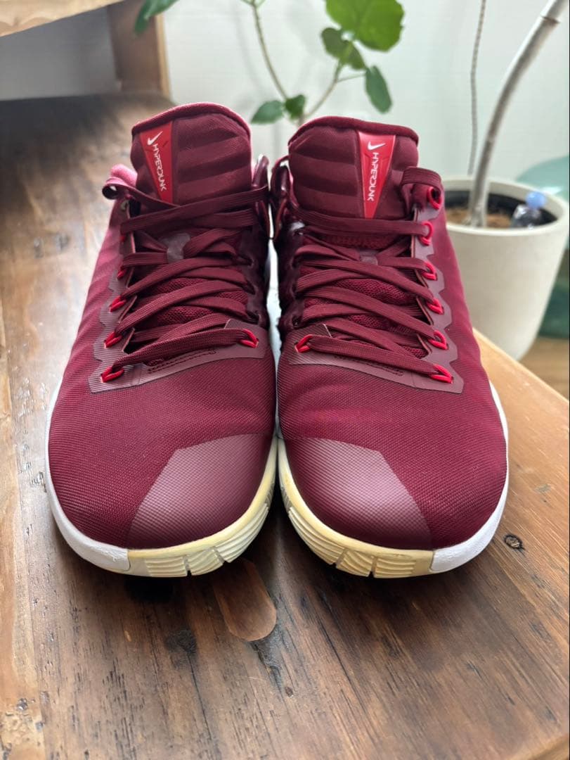 NIKE ハイパーダンク2016 ローカットタイプ