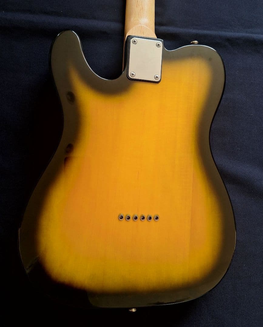 LEGEND テレキャスター タイプ 2TS フェンダーヘッド ソフトケース