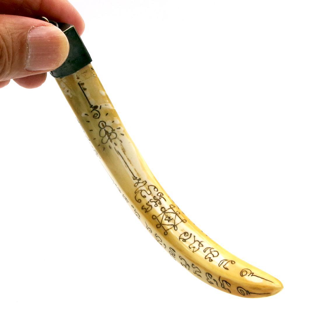 タイ お守り Khiaw Hmoo Dtan Gae Suea 猪牙 Yant