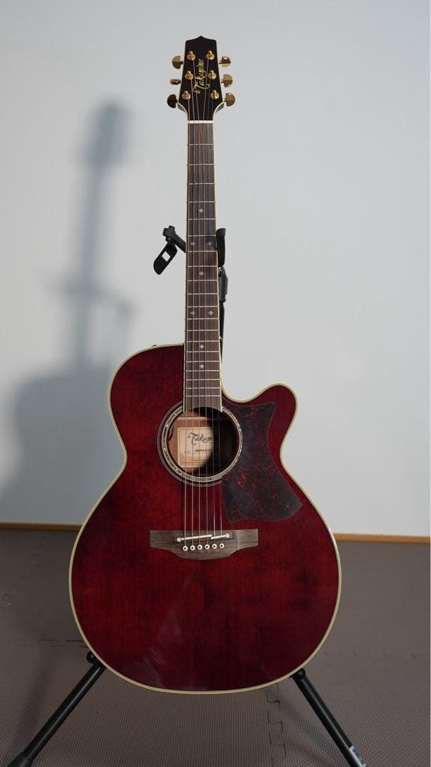 ギター Takamine DMP551C WR