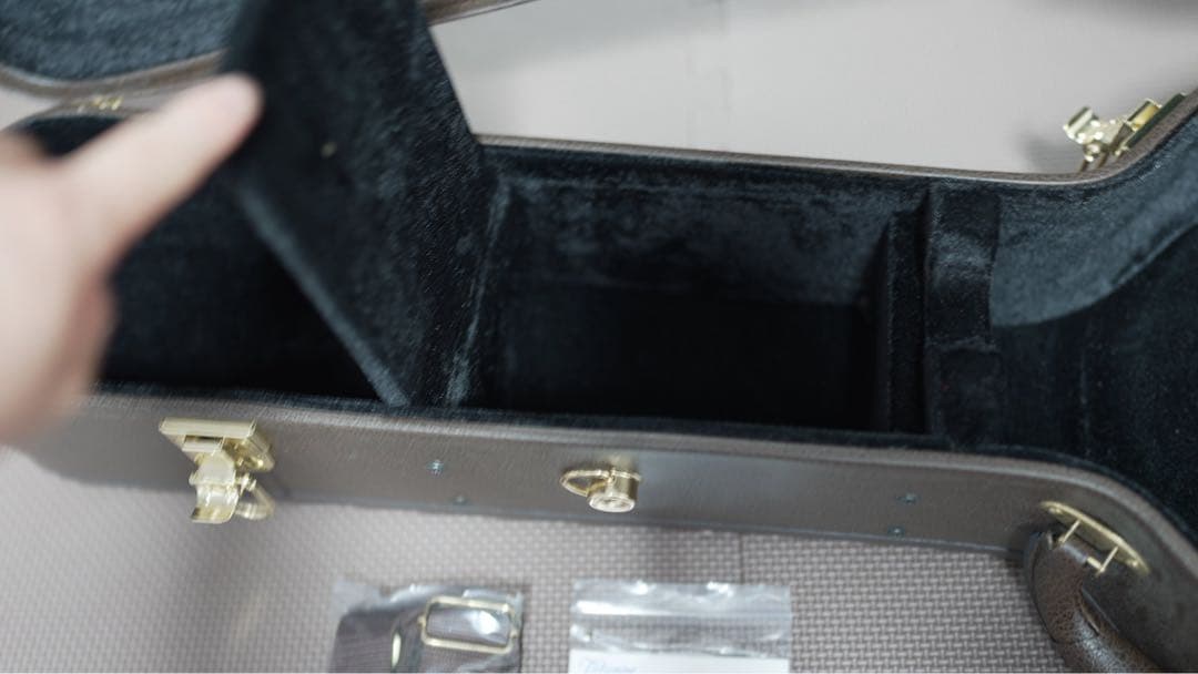 ギター Takamine DMP551C WR