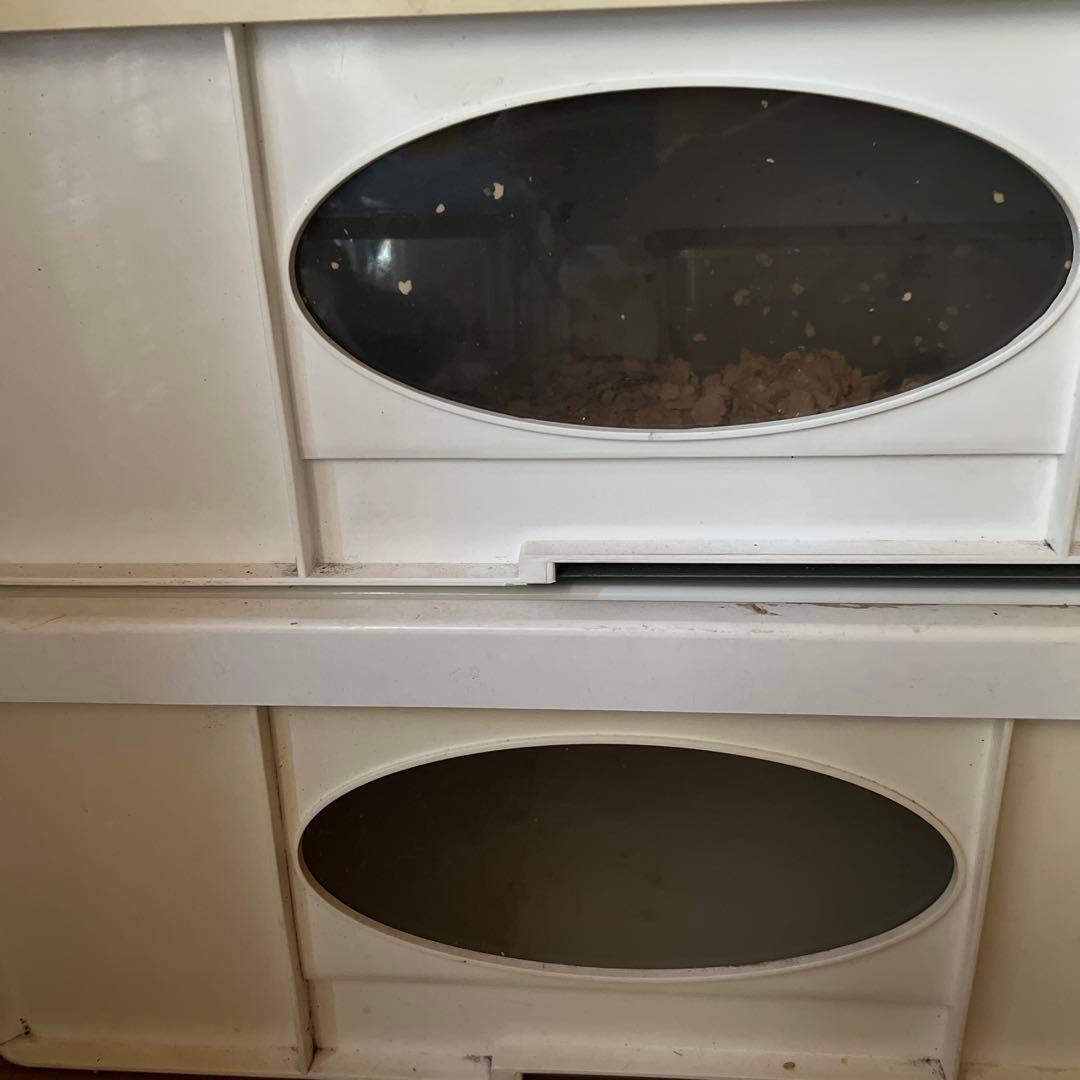 ホワイト中型飼育ケージ 観察窓付きみどり商会グッドロック2個