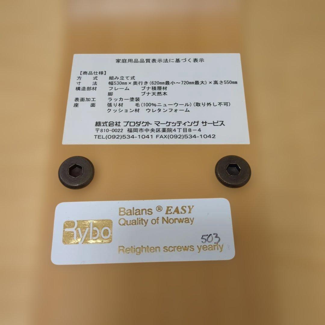 Rybo Balance Easy バランスイージー チェア　リボ社