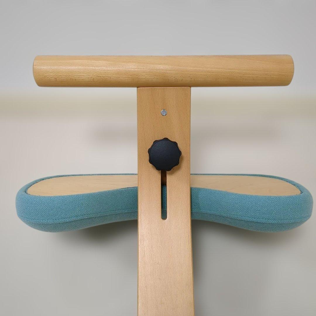 Rybo Balance Easy バランスイージー チェア　リボ社