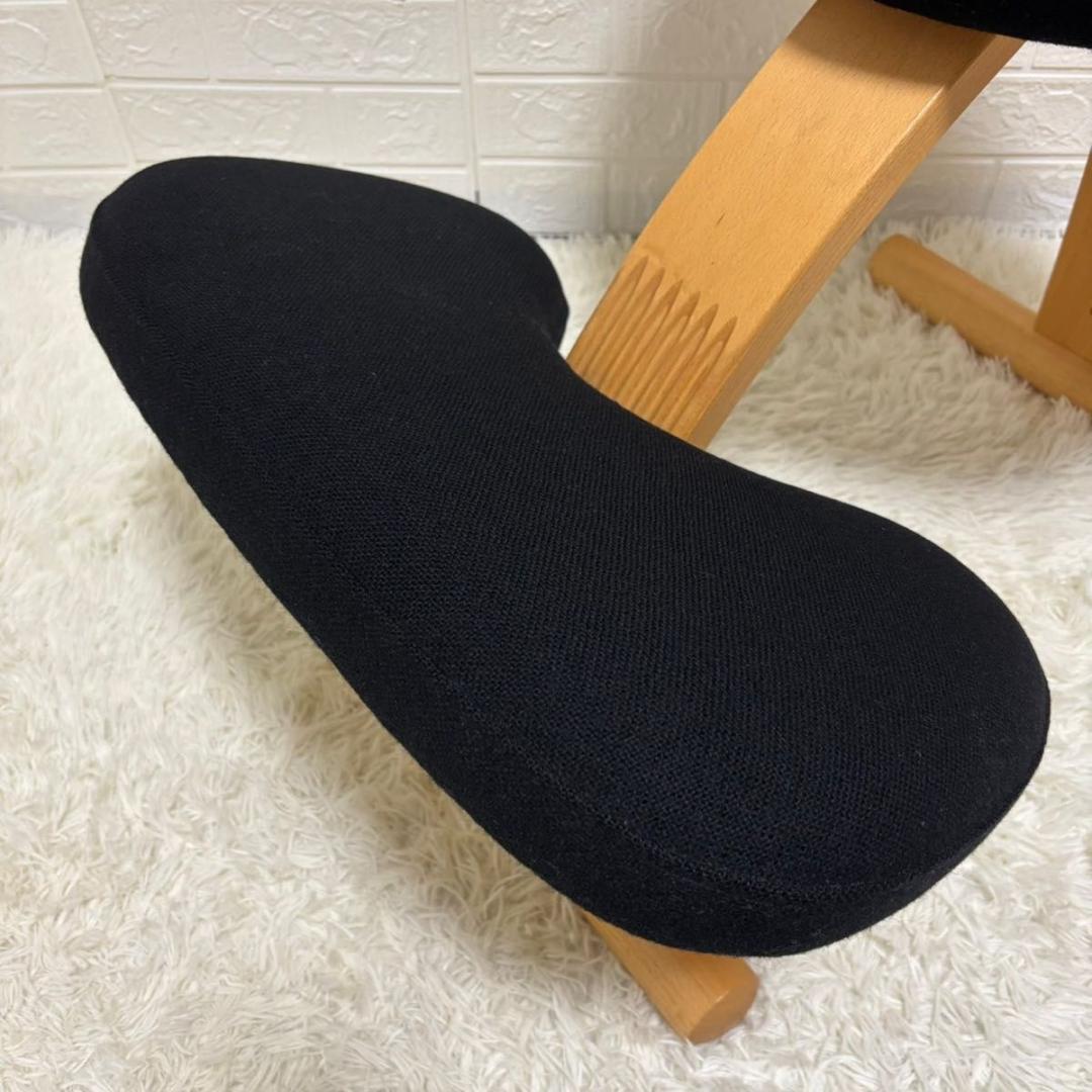 【美品】バランスチェア　イージー　リボ社　ブラック