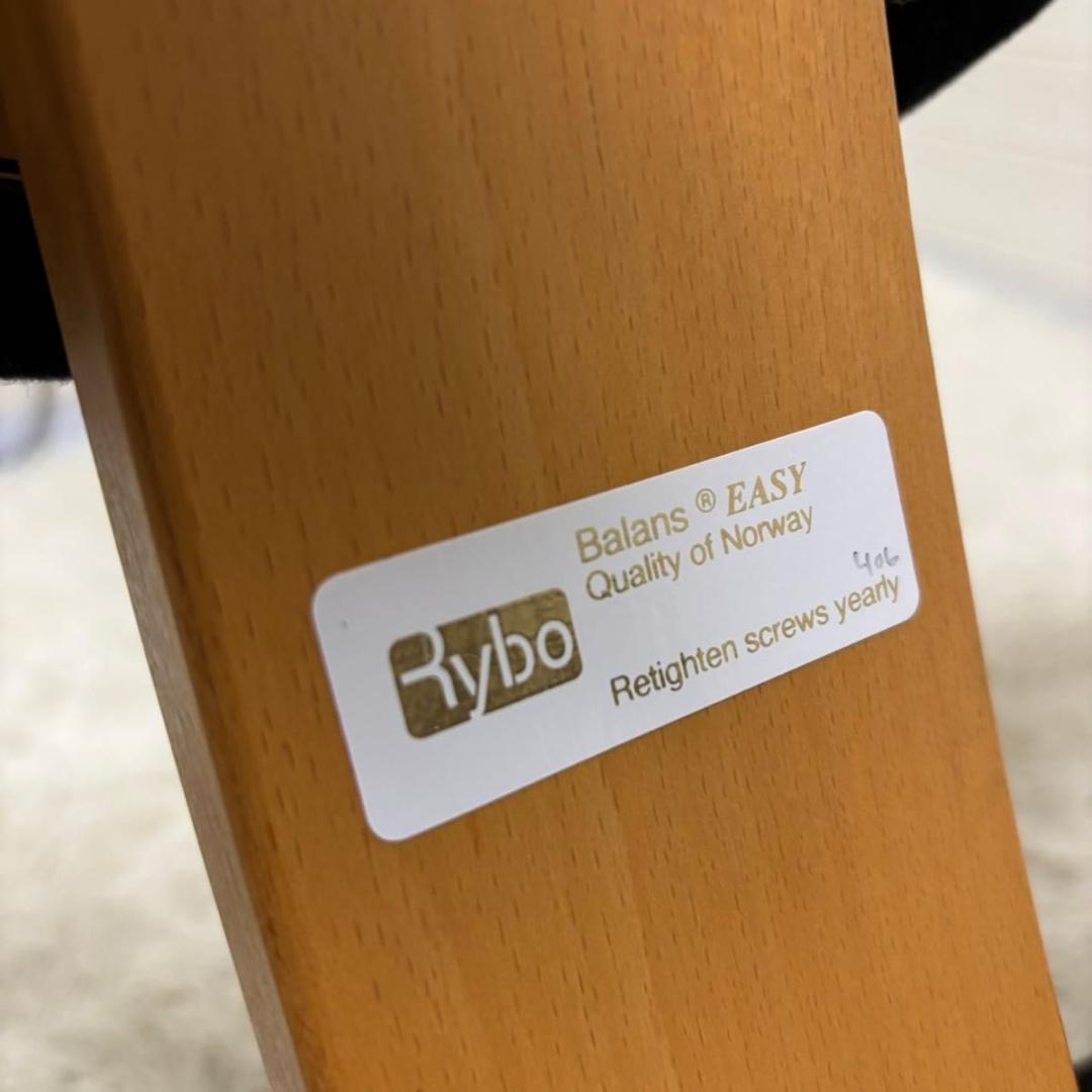 【美品】バランスチェア　イージー　リボ社　ブラック