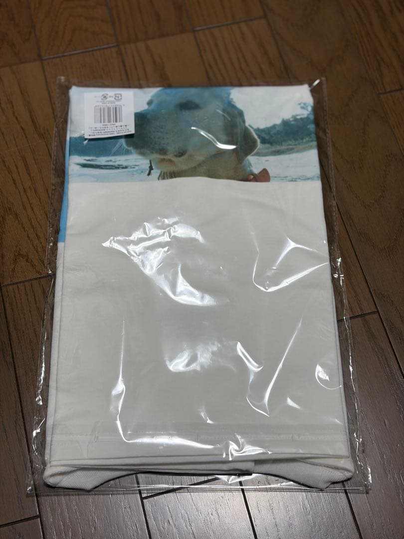 新品未開封RADWIMPS 特別展 Tシャツ 無人島に持っていき忘れた一枚