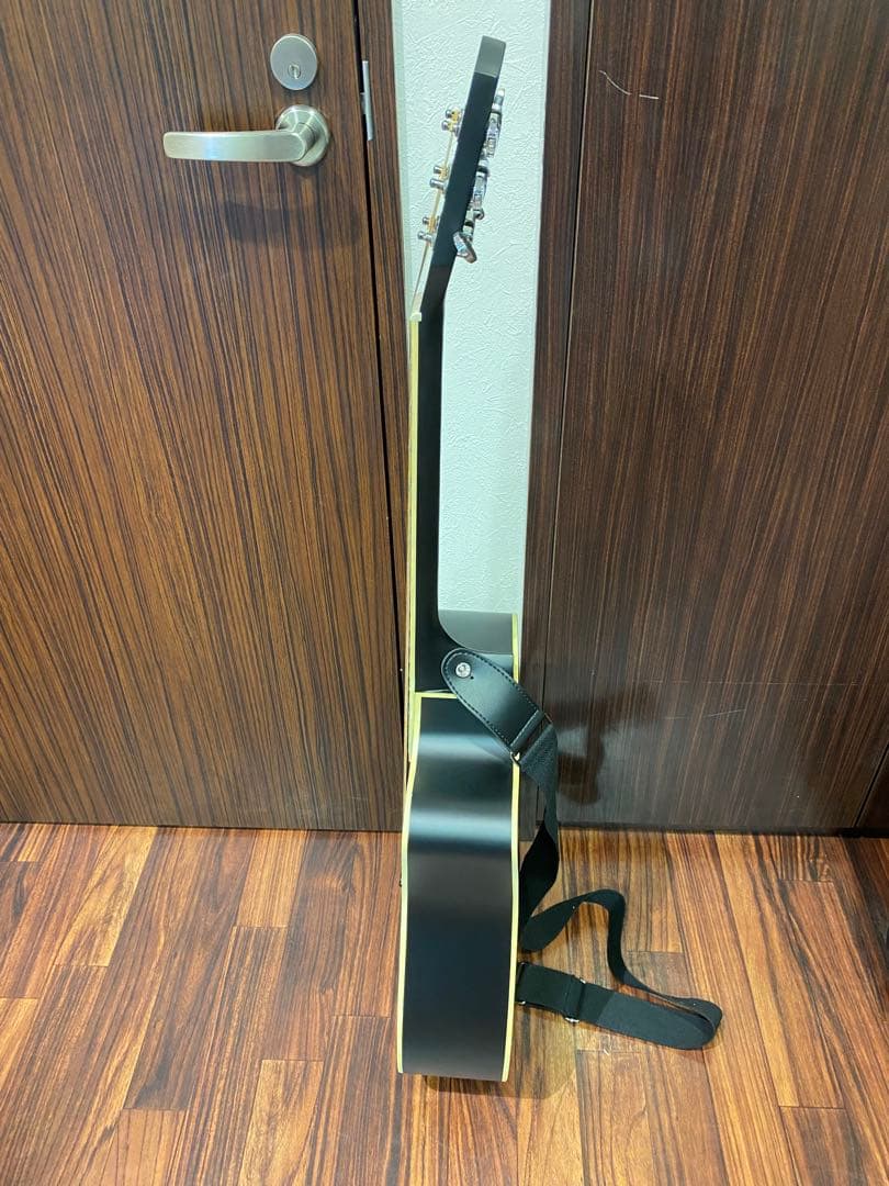 ✴️即購入不可コメント必須 Donner DAG-1CB ギター マットブラック