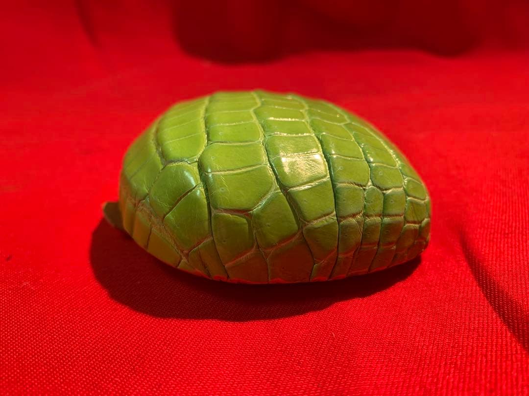 手作りクロコダイル(リアル)ケース