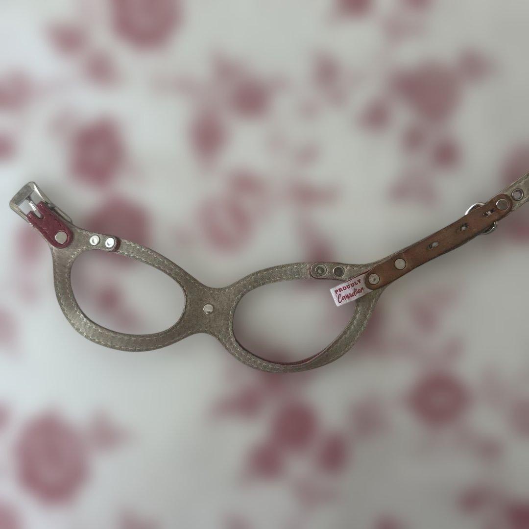 バディベルト✴︎ハーネス、リードセット