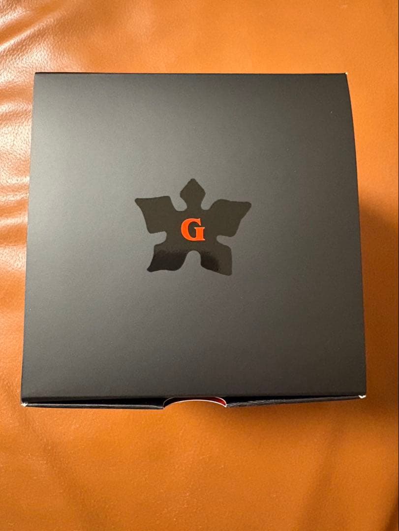 新品☆G-SHOCK ストレンジャー・シングス DW-5600STT-1JR