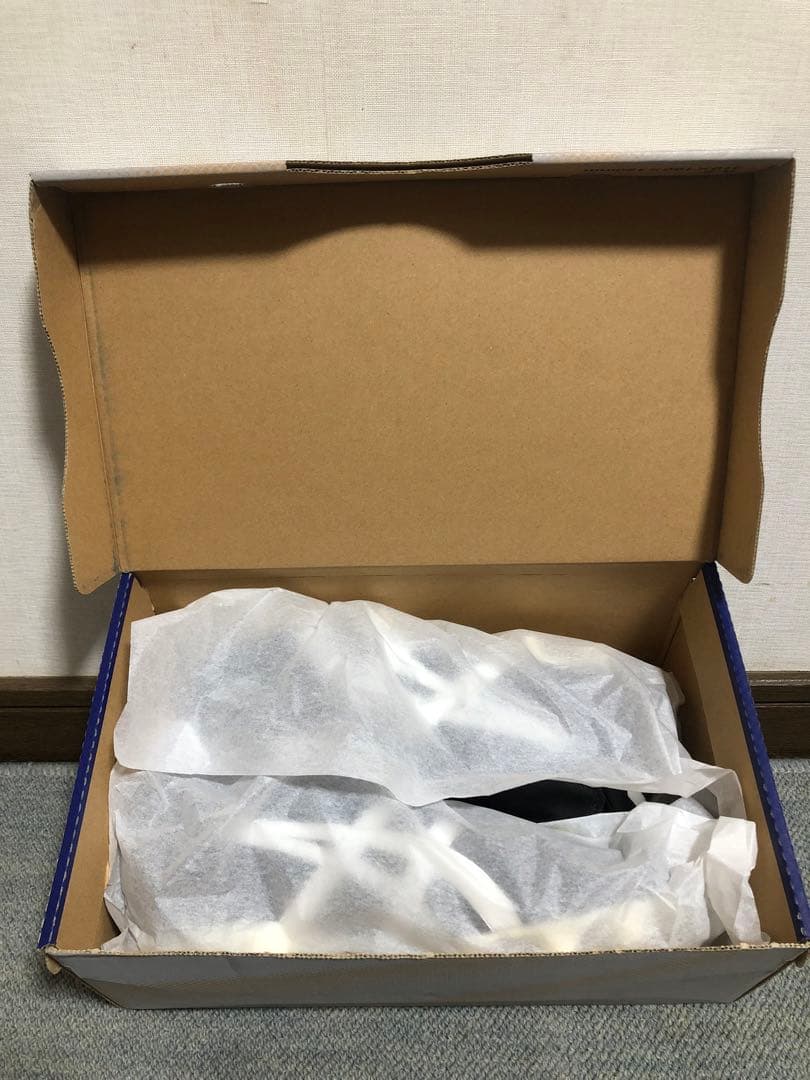 アシックス 2002