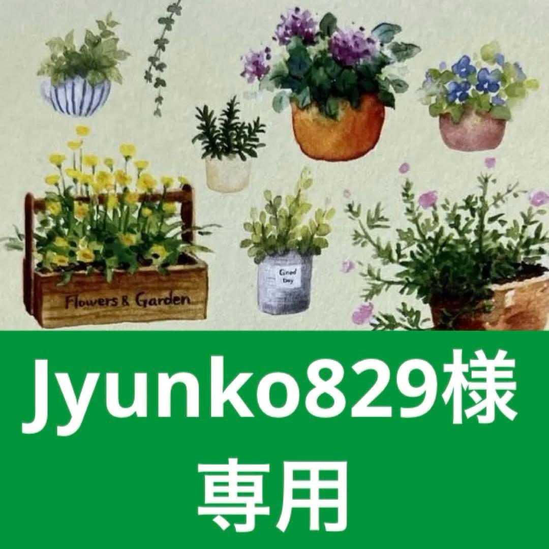Jyunko829