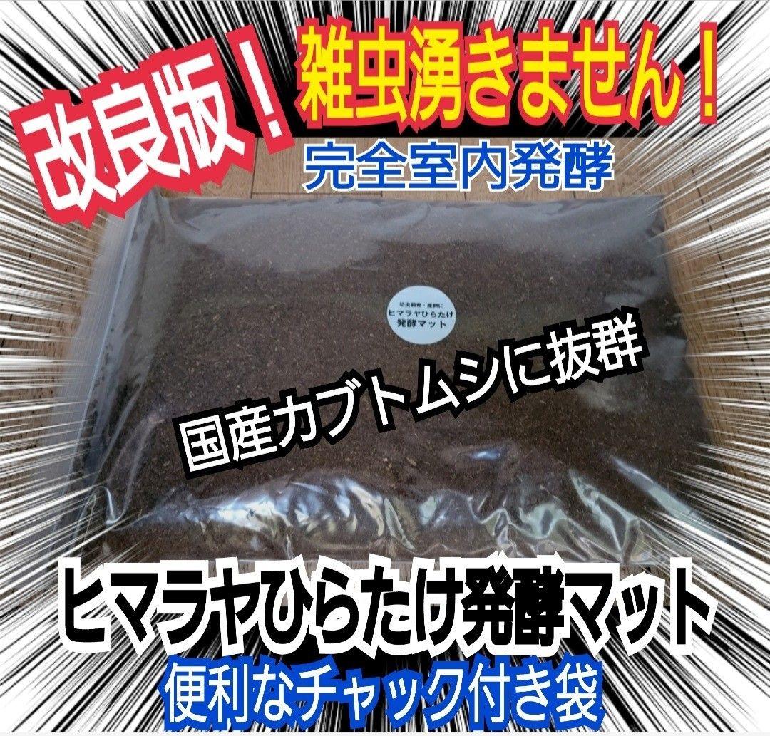 カブトムシ幼虫が大きくなります！ヒマラヤひらたけ発酵マット【6袋】雑虫わかない！