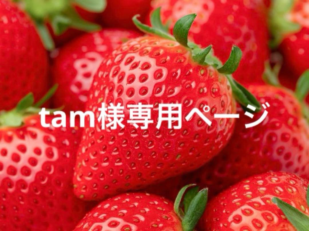 tamページ