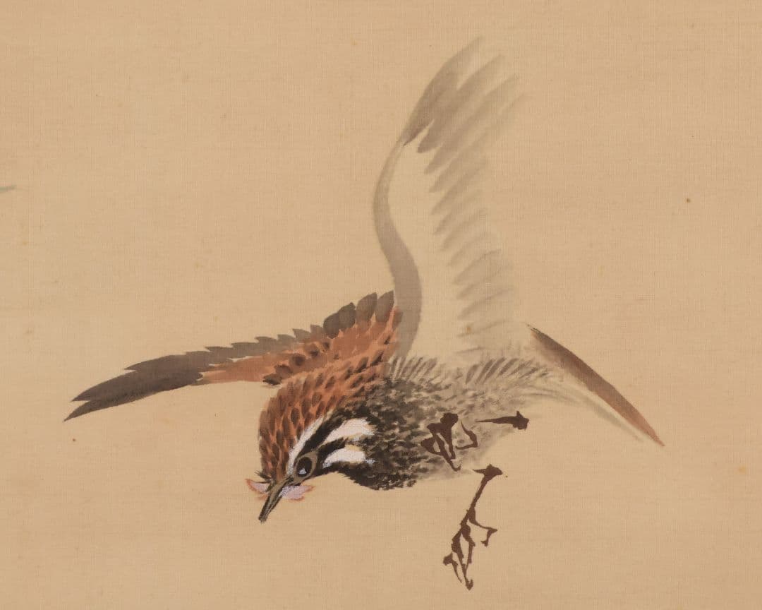 【模写】日本画 益田楳岳 花鳥 雀 草花 絹本 掛軸 MB160