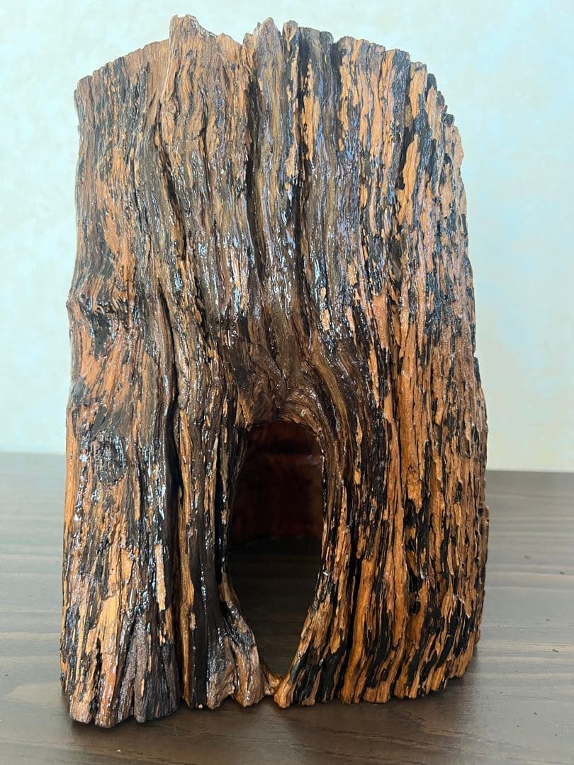 HX-008 流木　空洞　爬虫類　アクアリウム　アクアテラリウム　即沈水