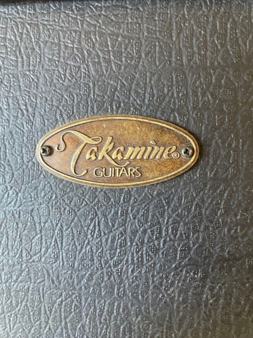 Takamine NPT-012BS アコースティックギター