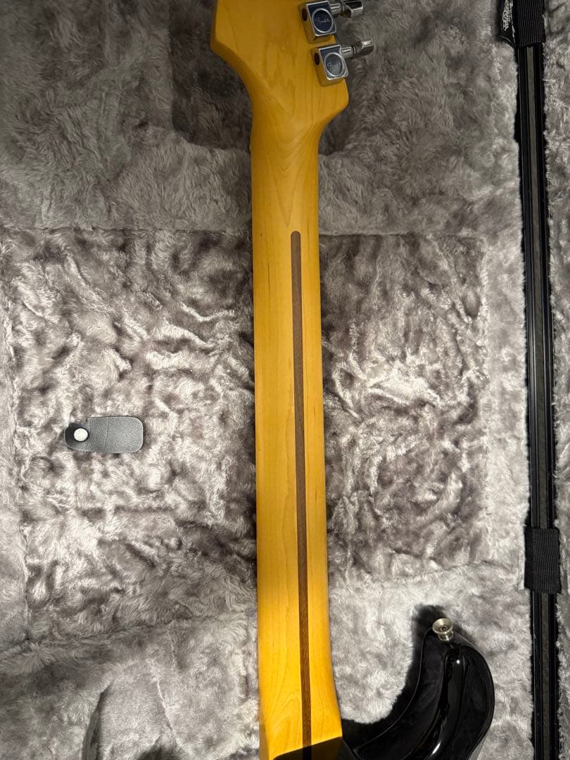 ギター Fender American professional ii strato